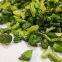 new harvest wholesales freeze dried spinach New harvest