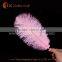 wholesale cheap ostrich feather for wedding decoration centerpiece