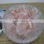 Himalayan Natural Rock Salt Lamp with glass cover