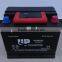 Maintenance Free Automotive Battery