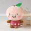 Wholesale Soft Keychain Manufctures in China/ Plush Fruit Keychain Pink Peach/ Soft Toy Mini Keychain Peach Doll