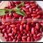 Wholesale Dried Dark Red Kidney Beans Alubia