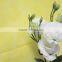 Good smell promotional lisianthus seeds eustoma grandiflorum