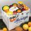 Recyclable feature, fruit and vegetable corrugated carton box on sale