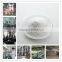 Z0275 Bulk Laundry Detergent Washing Powder With Skin Care Feature
