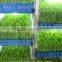 Farm Favorite Green Organic Fodder Growing Machine