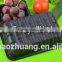 FDA Approval Custom-Made Different Types/Colors Absorbent Fresh Meat Packing Tray