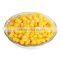 884# can size 340g Fresh Canned sweet corn