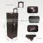 Hoxen dual 12inch trolley speakers with 9" monitor and DVD player P-45