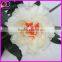 wholesale 2 heads artificial silk peony flower