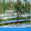Best price high reflectivity plants covering mothproof agricultural greenhouses film