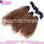 8A grade kinky curly brazilian virgin hair weave 2016 hot sale virgin brazilian kinky curly hair