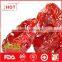 Hot sale dried red cherry tomato from China