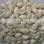 Snow White Pumpkin Seeds in shell
