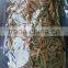 Boiled Osmunda Cinnamomea in Vinegar Cut High Quality of Osmunda