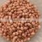 long type peanut kernels 38/42 is nutritionally endowed