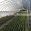 LOW Prince Anti UV 100% virgin PE flower greenhouse film