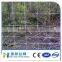 low price galvanized cattle fence from China