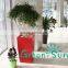 Bonsai tree large size rectangular plastic flower pots