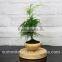 Artificial wooden effect magnetic suspension levitating plant pot