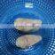 frozen pangasius steak/ Basa Fillet/ Frozen Pangasius Fillet/ Frozen Pangasius Whole/Frozen Pangasius Rose/ Frozen Fish Fillet