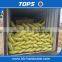 electro galvanized iron binding wire