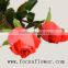 high quality Wholesale love ecuadorian roses freedom malaysia cut flowers moive star for home from kunming