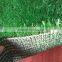 WUXI GREENLAWN Model G008 Artificial Turf for pet mat