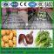 High Quality Turnip /Apple/Pear/Fruit And Vegetable Washing machine
