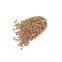 Premium quality Huanan origin light speckled kidney bean