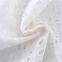 swiss cotton Embroidered mesh embroidery african voile lace fabric