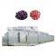 New products hot sale flash freezer small freezing tunnel machine