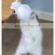 Electric LED cat laser teaser rolling ball toy automatic cat rotate teaser toy with feather