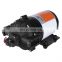 SEAFLO 12 Volt 26.5lpm 60psi on Demand Dethatcher Filtration Attachment Agricultural sprayer pump