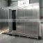 1000kg frozen fruit vegetable processing line price IQF freezer vegetables line