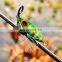 2021 New Design 10g 20g 30g 40g 60g Bass Luminous Fishing Slow Jigs With Assist Hooks Metal Jig Offshore Jigging Lures