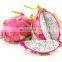 Dragon fruit in Vietnam is rich in nutrients at the best price