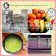 stainless steel wheatgrass juicer/best juicer//juicer press
