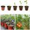 Cheap Nursery Round Planter Bag 10 Plant Seedling Small 4Inch Plastic Flower Pot 8 Inch