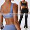 Quick Dry Push Up Shockproof Tops Wholesale Workout Running Top High Impact U-back Gym Fitness Yoga Bra Women Sports Bra