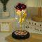 Led Galaxy 24k Gold Eternal Rose Light Up Rose Flower Gift Glass Dome Flower Lamp For Home Christmas Decorative Holiday Lighting