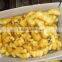 2015 ginger best quality with lowest price