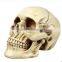 Halloween Decoration novelty toys funny horror spoof tricky trick props resin skull ornament