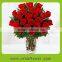 3-heads beautiful red rose panties for home decoration