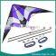 2015 Promotional 1.8M Dual Line Delta Stunt Kite Purple