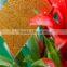 Grad A compact polycarbonate panels ,polycarbonate embossed sheet for workshop skylights