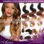 6A Ombre 3 tone Brazilian body wave human hair extensions 100g bundle,Beauty Colorful Brazilian virgin hair ombre weave