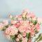 Fresh Cut Flowers Natural Carnation/red/pink/white/yellow/champane Colors