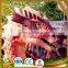 Amusement Park live chinese dragon