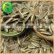 Sunflower Seeds Sunflower Oil Price Bulk